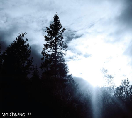 Cd-uri - Lost In Desolation - Mourning II