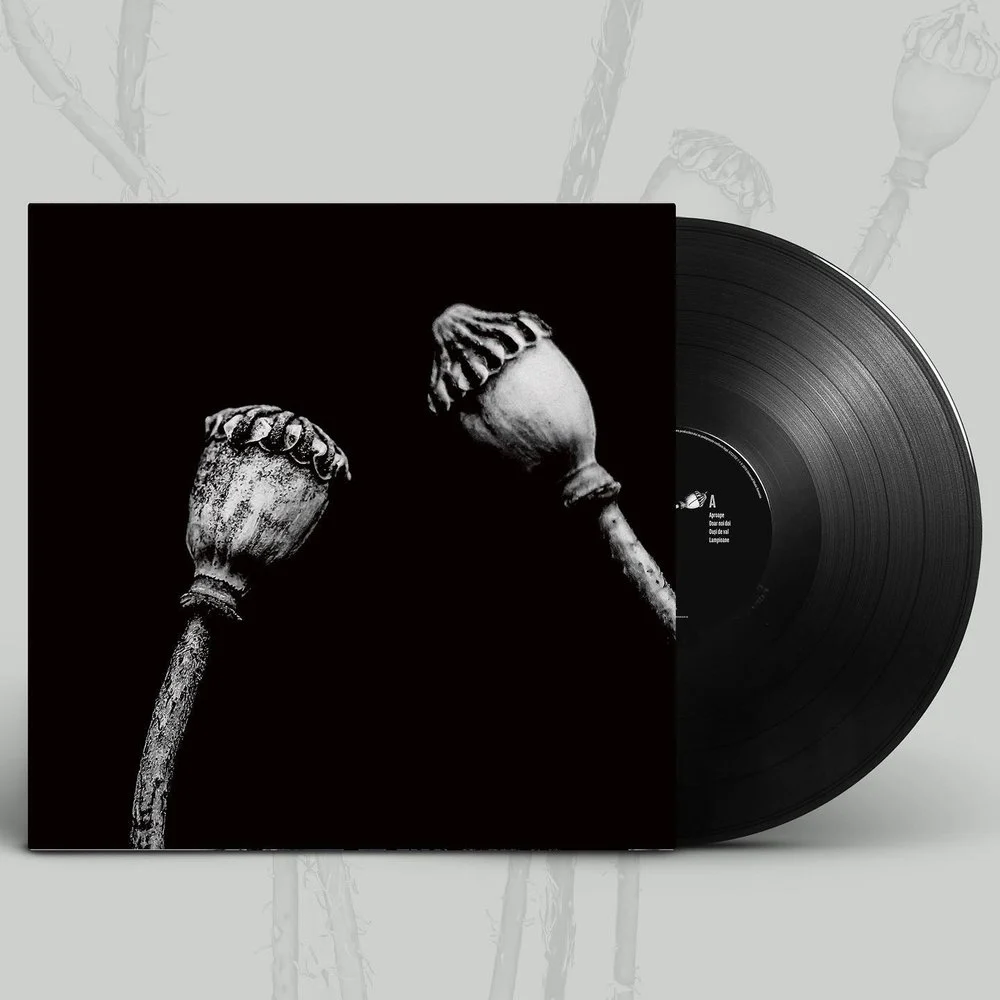 Discuri vinil - Luna Amară – Aproape (Discuri Vinil)