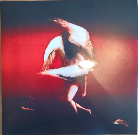 Discuri vinil noi - Maruja (2) – Pain To Power