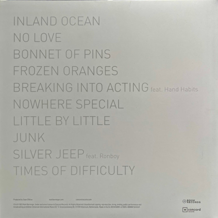 Matt Berninger – Get Sunk (Disc Vinil) [1]