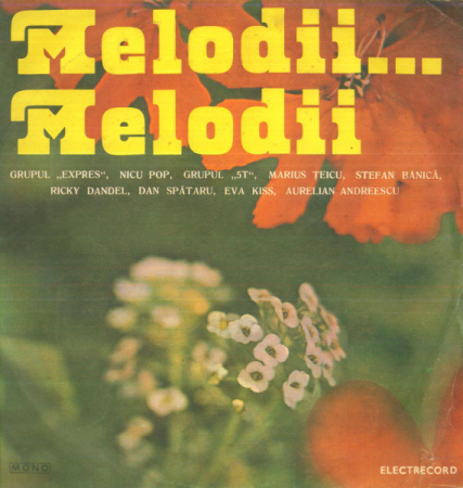 Discuri vinil - Melodii... Melodii (Disc Vinil)