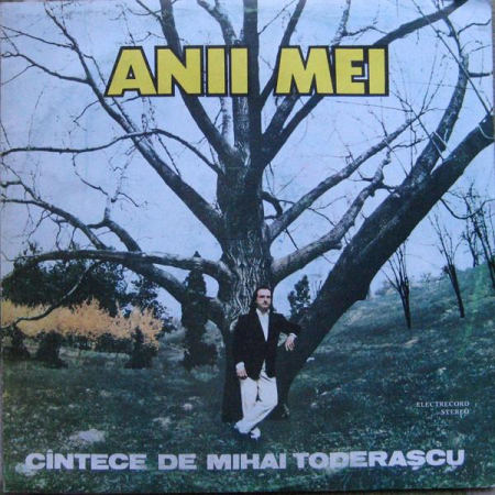 Muzică Ușoară - Mihai Toderașcu - Anii Mei - Cîntece De Mihai Toderașcu, (Disc Vinil)