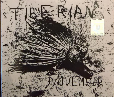 Cd-uri - Mircea Tiberian - November (CD)