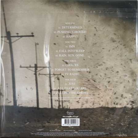 Mudvayne – Lost And Found (VINIL) [1]