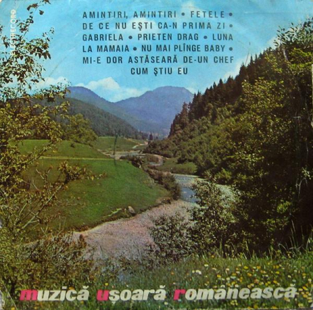 Discuri vinil - Muzică Ușoară Românească, (Disc Vinil)