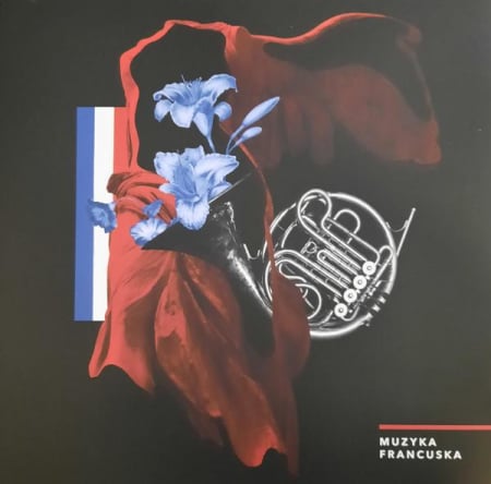 Discuri vinil - Muzyka Francuska, (Disc Vinil)