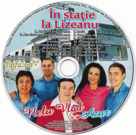 Cd-uri - Nelu Vlad - În Stație La Lizeanu, (CD)