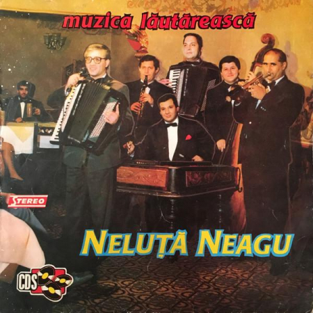 Discuri vinil - Neluță Neagu - Muzică Lăutăreasca, (Disc Vinil)