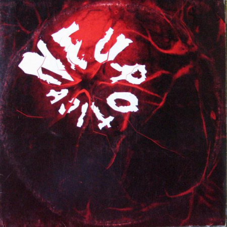 Rock/Folk - Neurotica - Neurotica, (Disc Vinil)