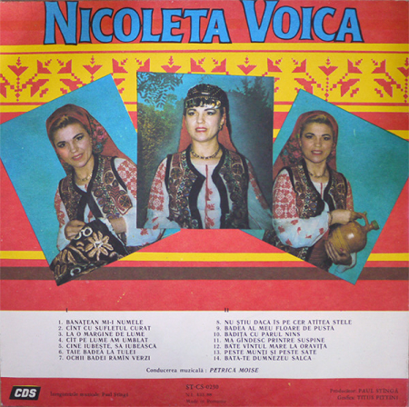 Nicoleta Voica – La O Margine De Lume (VINIL) [1]