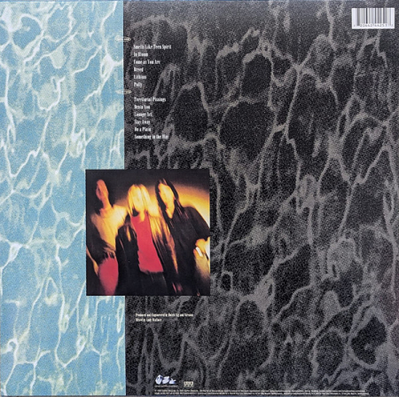 Nirvana – Nevermind (Disc Vinil) [1]