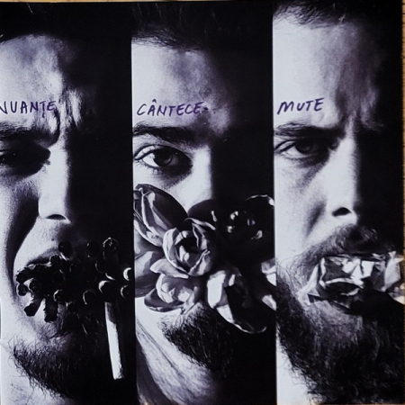 Cd-uri - Nuanțe – Cântece Mute (CD)