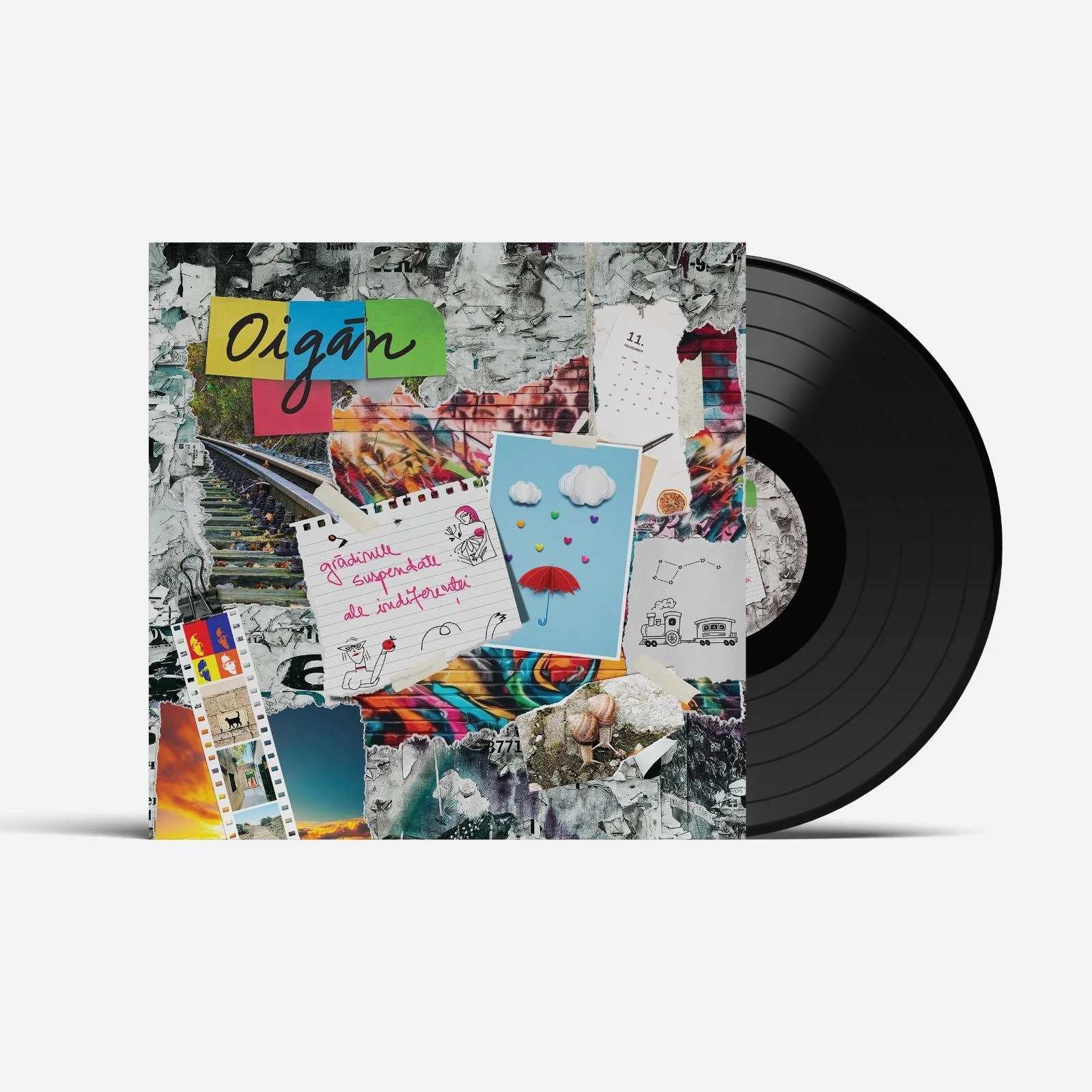 Viniluri Românești - Oigăn-Grădinile suspendate ale indiferenței, (Disc Vinil)