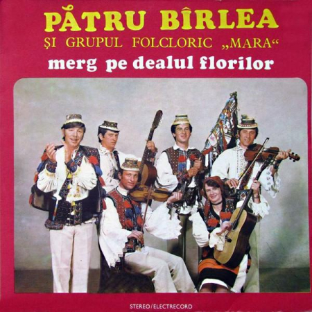 Discuri vinil - Pătru Bîrlea - Merg Pe Dealul Florilor, (Disc Vinil)