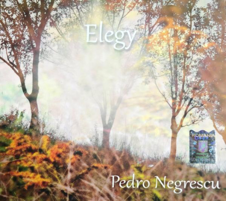 Cd-uri - Pedro Negrescu - Elegy