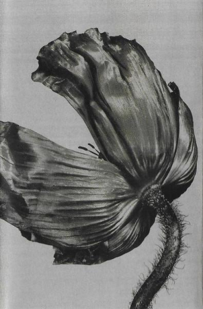 Casete audio - Pet Shop Boys - Release (Caseta Audio)