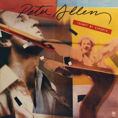 Jazz/Funk/Soul - Peter Allen - Taught By Experts (Disc Vinil)