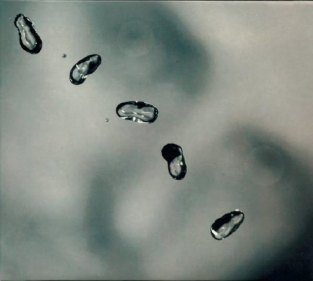 Cd-uri - Peter Gabriel - Up, (CD)