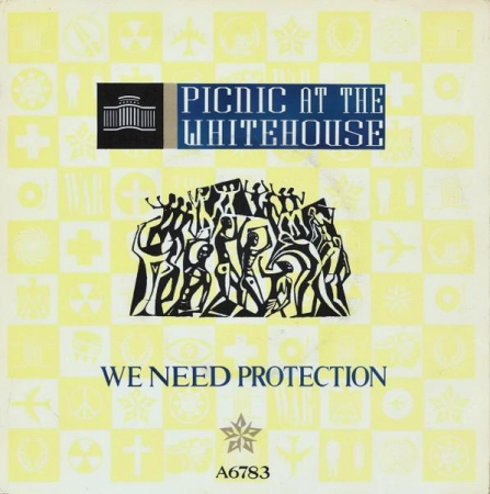 Discuri vinil - Picnic At The Whitehouse - We Need Protection (Disc Vinil)