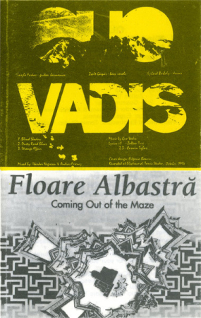 Rock/Folk - Quo Vadis (8) / Floare Albastră – Coming Out Of The Maze (CASETA)