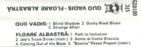 Quo Vadis (8) / Floare Albastră – Coming Out Of The Maze (CASETA) [1]