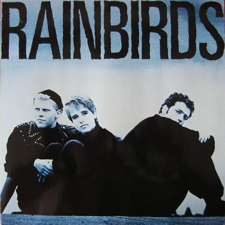 Rock/Folk - Rainbirds - Rainbirds, (Disc Vinil)