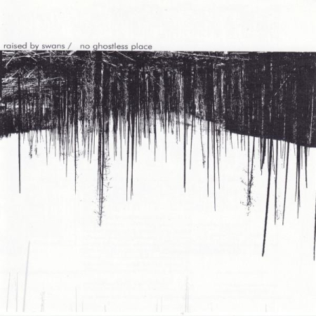 Cd-uri - Raised By Swans - No Ghostless Place (CD)