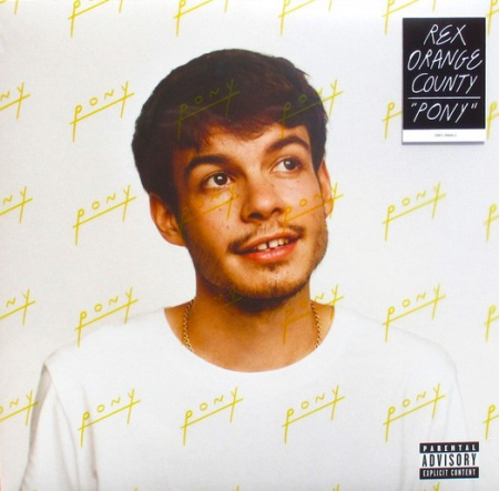 Pop - Rex Orange County – Pony (Disc Vinil)