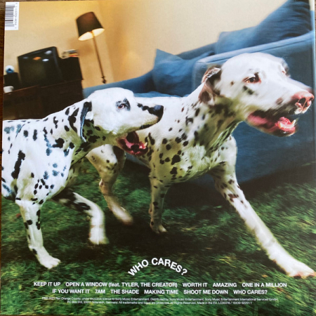 Rex Orange County – Who Cares? (Disc Vinil) [1]