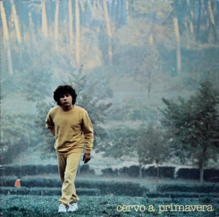 Discuri vinil - Riccardo Cocciante - Cervo A Primavera (Disc Vinil)