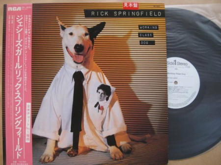 Discuri vinil - Rick Springfield - Working Class Dog (Disc Vinil)