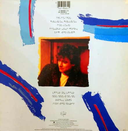 Robert Plant - Shaken 'N' Stirred, (Disc Vinil) [1]