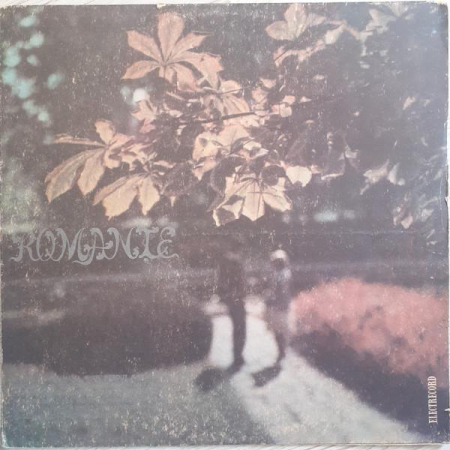 Discuri vinil - Romanțe