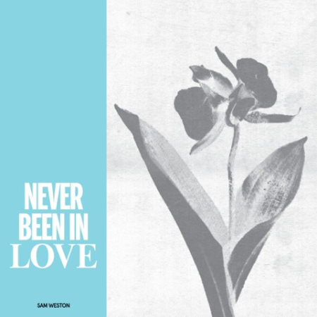 Discuri vinil - Sam Weston – Never Been In Love (VINIL)