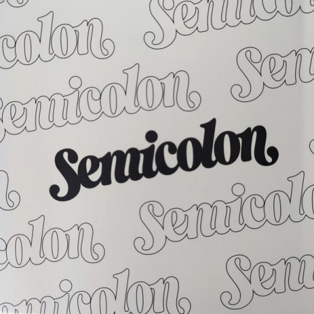 Seventeen - ;[Semicolon]