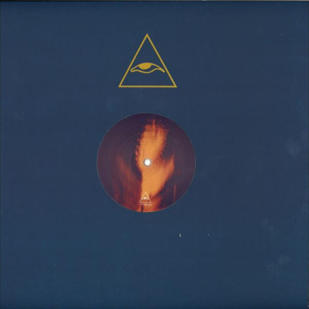 Muzica Electronica - Shaun Reeves - Origin 99 EP  (Disc Vinil)