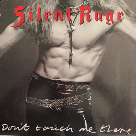 Discuri vinil - Silent Rage  – Don't Touch Me There (Disc Vinil)
