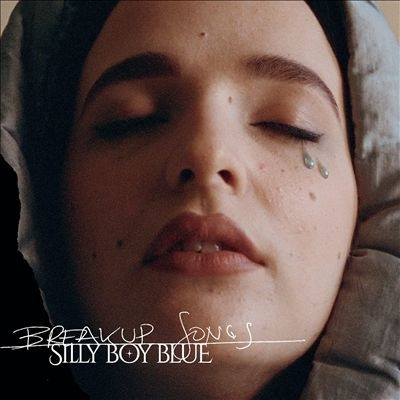 Pop - Silly Boy Blue- Breakup Songs, (Disc Vinil)