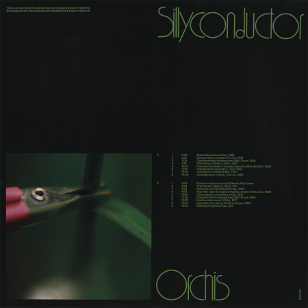 Sillyconductor – Orchis (Disc Vinil) [1]
