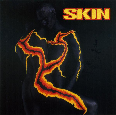 Cd-uri - Skin - Skin