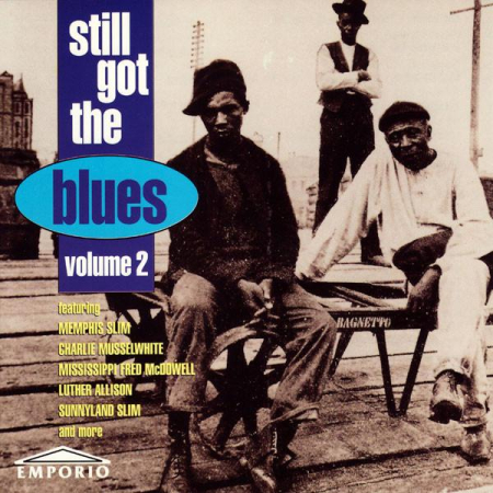 Cd-uri - Still Got The Blues Volume 2