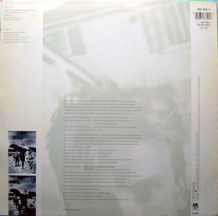 Sting - The Dream Of The Blue Turtles, (Disc Vinil) [1]
