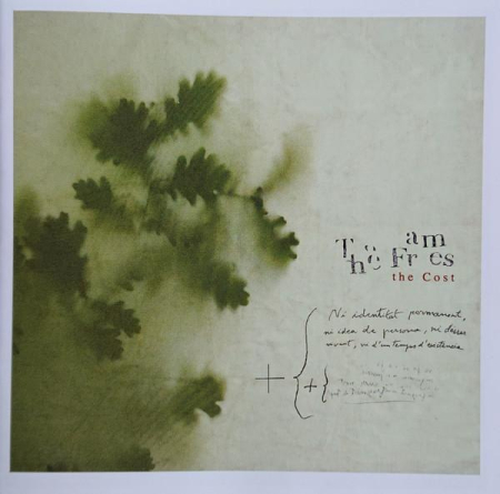 Cd-uri - The Frames - The Cost