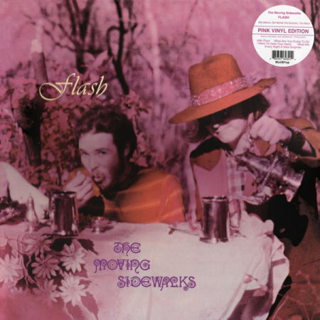 Discuri vinil - The Moving Sidewalks – Flash (VINIL)
