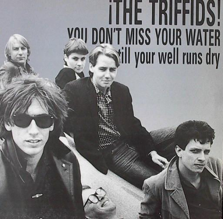 Rock/Folk - The Triffids - You Don't Miss Your Water Till Your Well Runs Dry, (Disc Vinil)