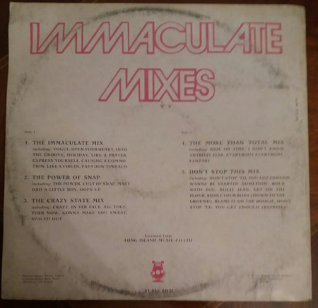 The Vision Mastermixers - Immaculate Mixes (Over 25 Big Hit Songs), (Disc Vinil) [1]