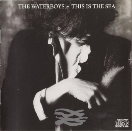 Cd-uri - The Waterboys - This Is The Sea (CD)
