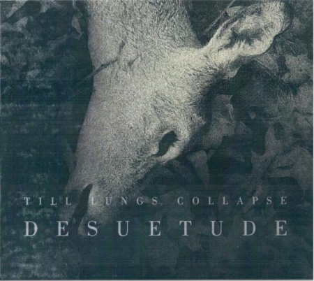 Rock/Folk - Till Lungs Collapse - Desuetude