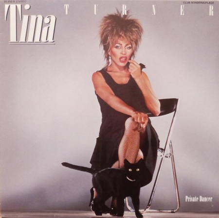 Discuri vinil - Tina Turner - Private Dancer (Disc Vinil)