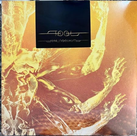 Rock/Metal - Tool  - Fear Inoculum, (Disc Vinil)
